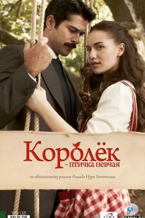 [catlist=21]Турецкий сериал[/catlist][catlist=22]Турецкий фильм[/catlist] Королёк — птичка певчая (2013-2014)