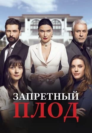 Турецкий сериал Запретный плод