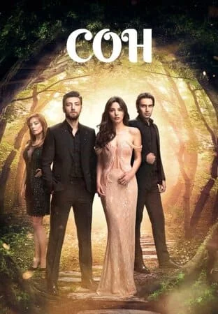 [catlist=21]Турецкий сериал[/catlist][catlist=22]Турецкий фильм[/catlist] Сон